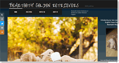 Desktop Screenshot of beartoothretrievers.com